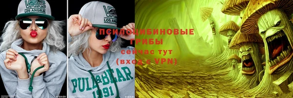 PSILOCYBIN Алексин
