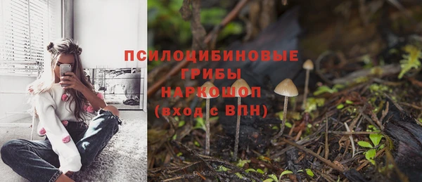 PSILOCYBIN Алексин