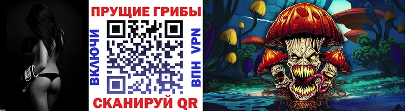 купить наркоту  Анжеро-Судженск  Галлюциногенные грибы GOLDEN TEACHER 